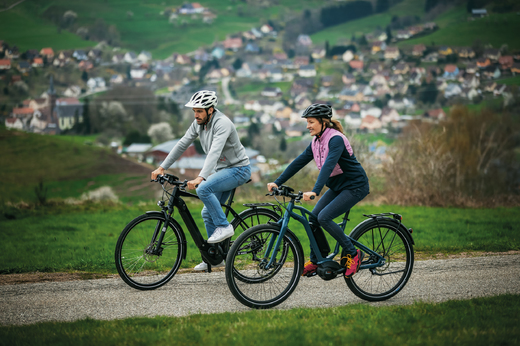 03_bosch-ebike_performanceline_2.jpg