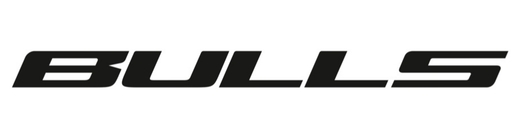 Logo BULLS.jpg