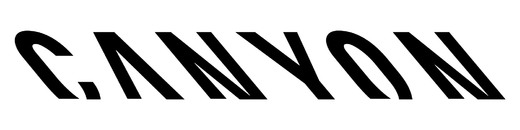 Logo CANYON.jpg