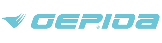 Logo GEPIDA.jpg