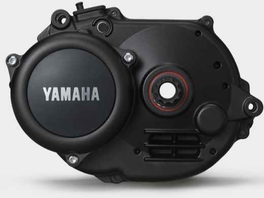 Motor YAMAHA PW-X.jpg