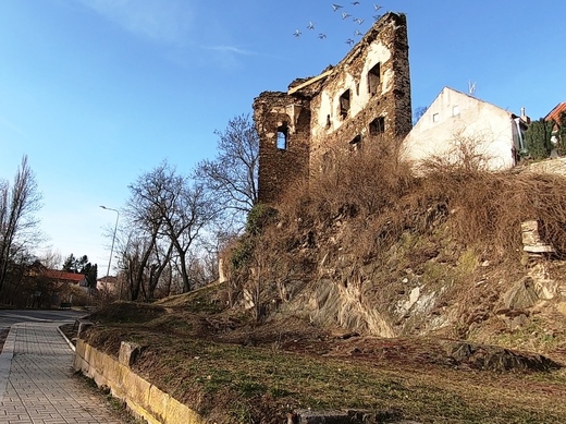 Fotogalerie - ZŘÍCENINA HRADU ŘÍČANY